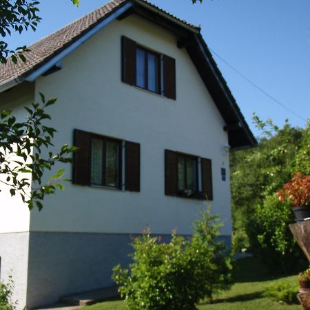 House Nina Apartment Poljanak Exterior foto