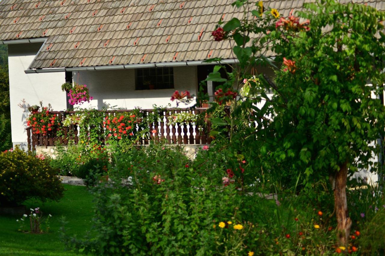 House Nina Apartment Poljanak Exterior foto