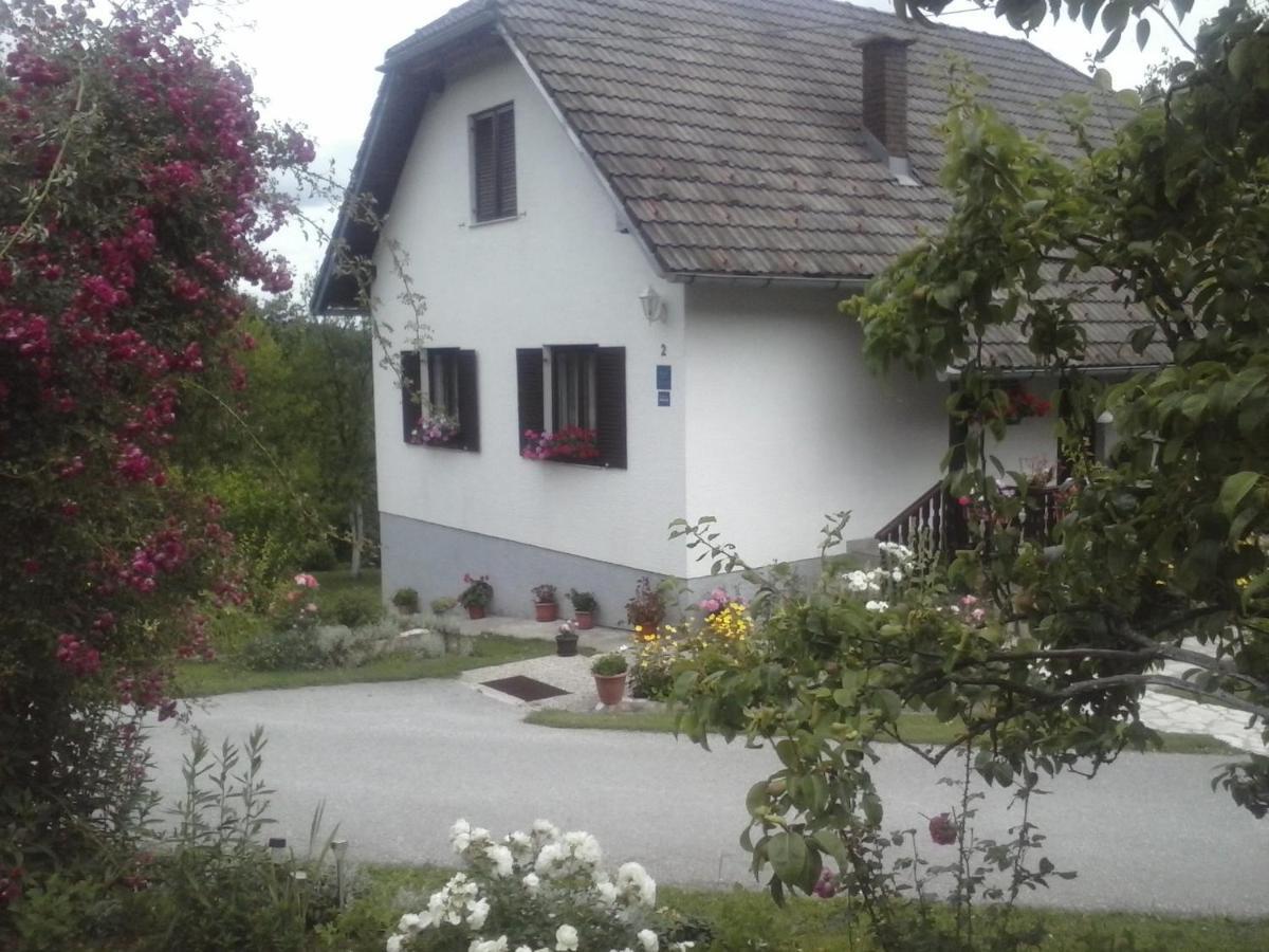 House Nina Apartment Poljanak Exterior foto