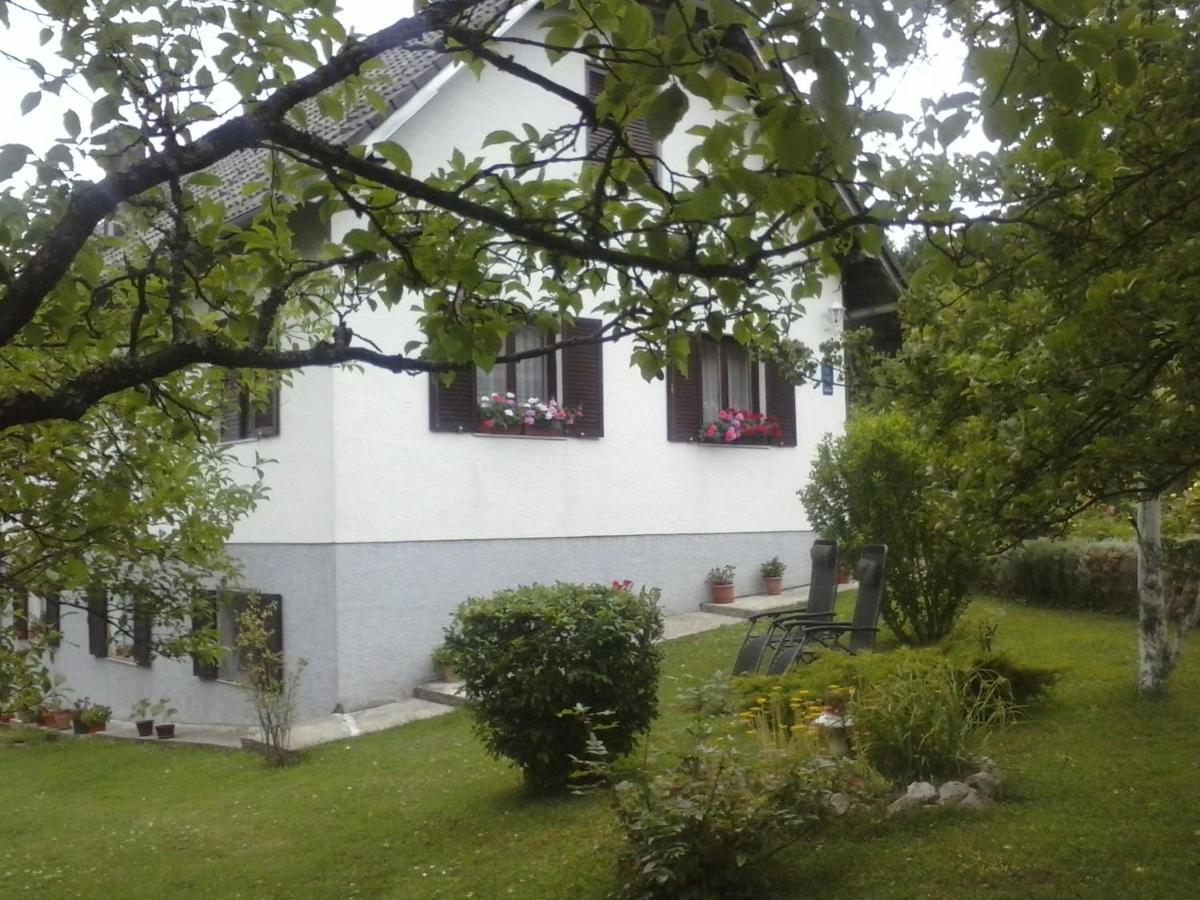 House Nina Apartment Poljanak Exterior foto